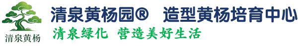苏州市吴江清泉黄杨绿化工程有限公司